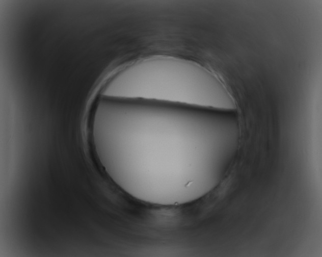 X0000096990102200802080927