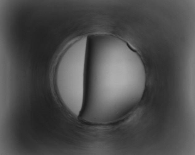 X0000096990103200802080927