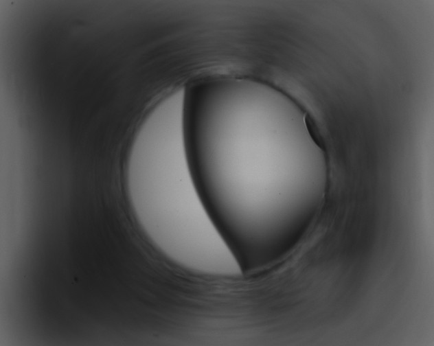 X0000096990105200802080927