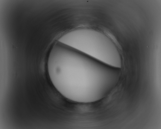 X0000096990106200802080927
