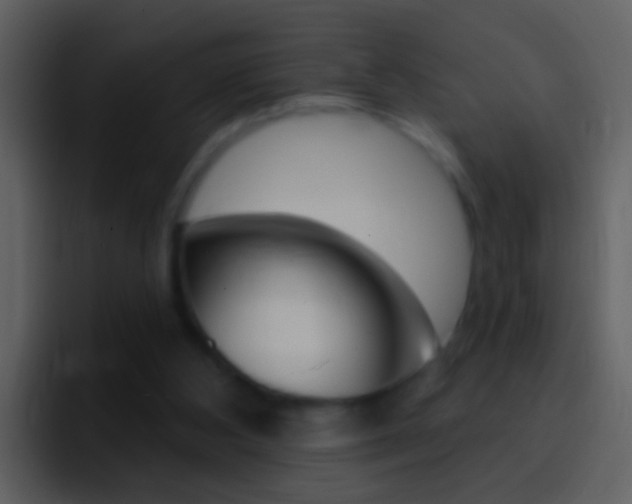 X0000096990108200802080927