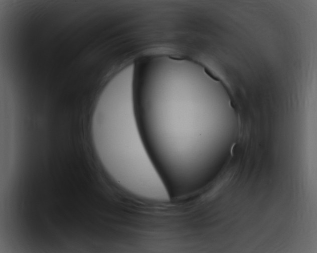 X0000096990109200802080927