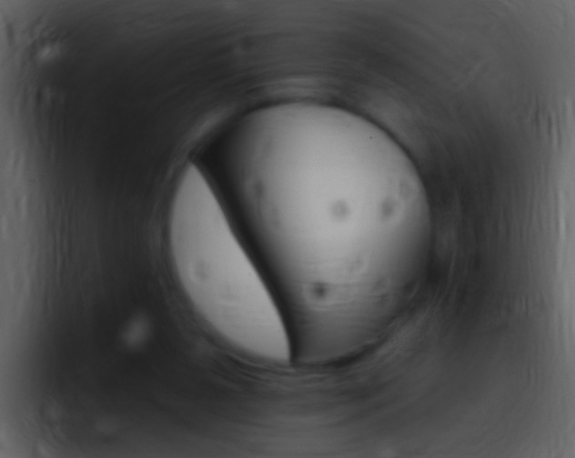 X0000096990111200802080927