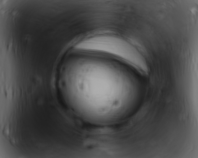 X0000096990112200802080927