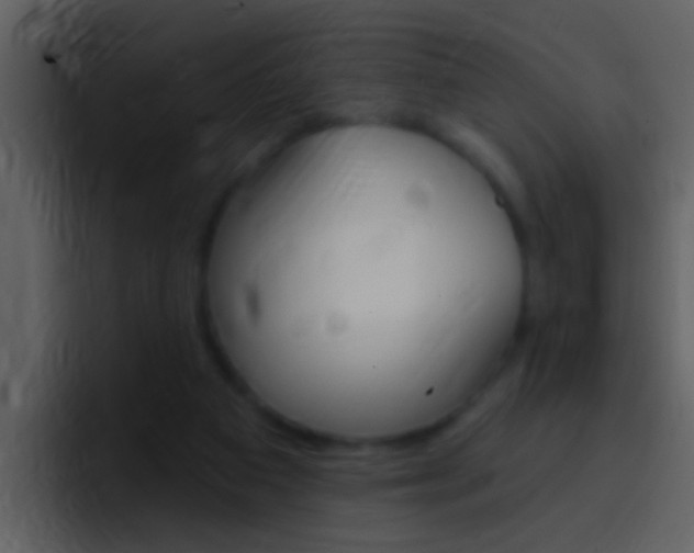 X0000096990113200802080927