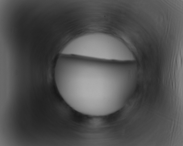 X0000096990114200802080927