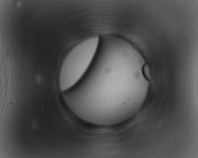 X0000096990115200802080927