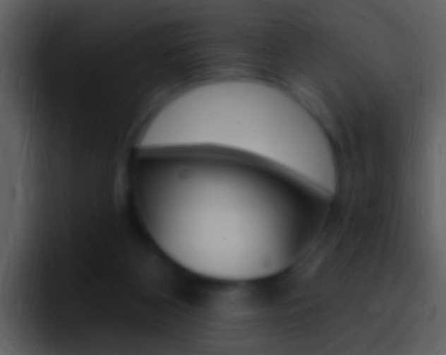 X0000096990116200802080927