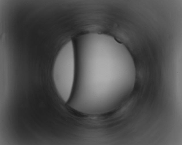 X0000096990117200802080927