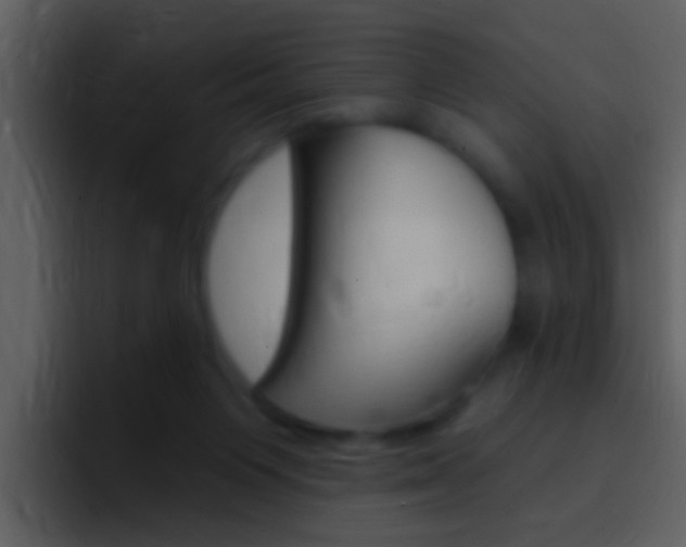 X0000096990119200802080927