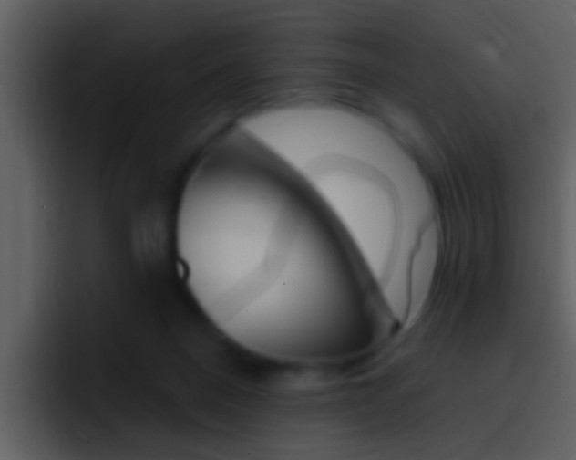 X0000096990120200802080927