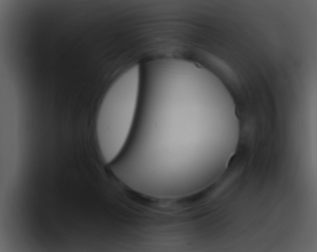 X0000096990121200802080927