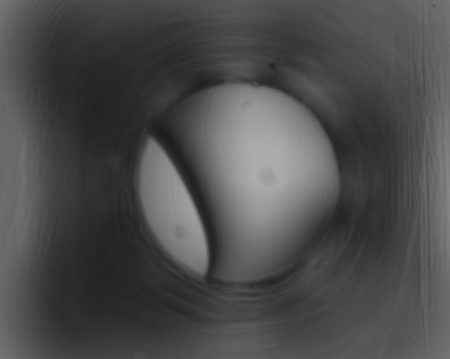 X0000096990123200802080927