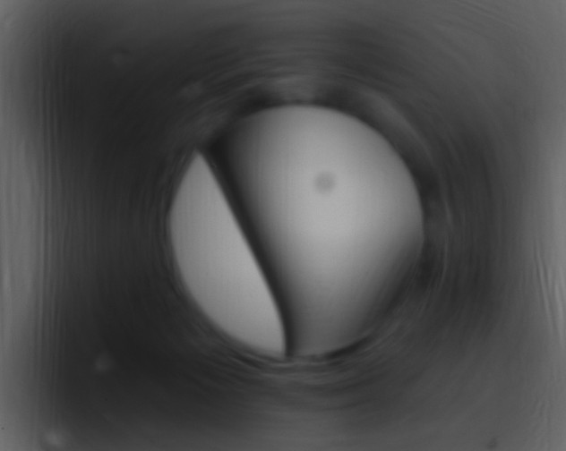 X0000096990125200802080927