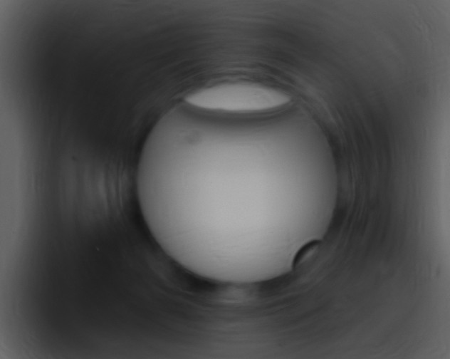 X0000096990126200802080927