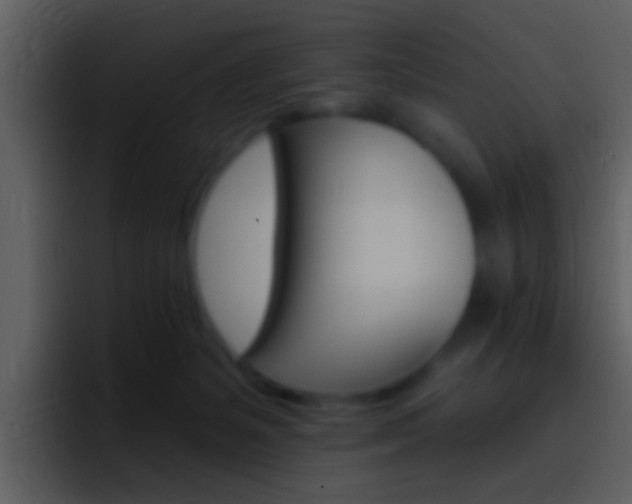 X0000096990127200802080927