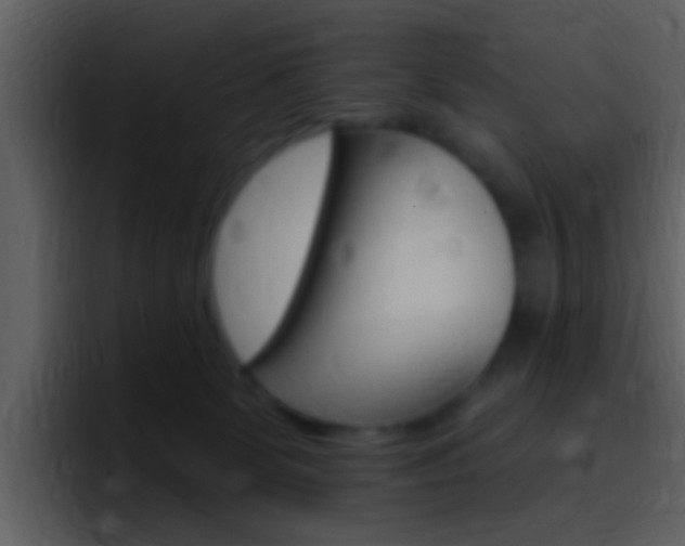 X0000096990131200802080927