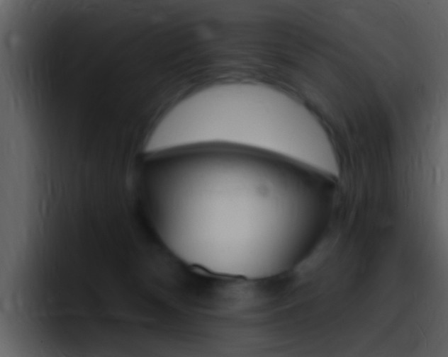 X0000096990132200802080927