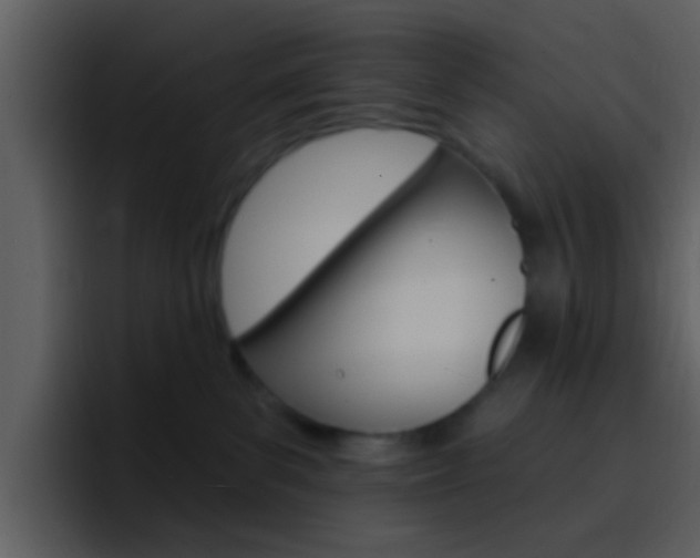 X0000096990139200802080927