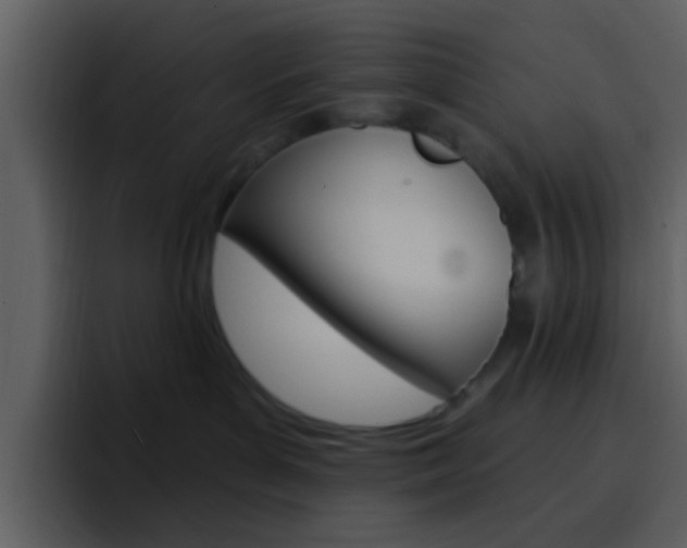 X0000096990143200802080927