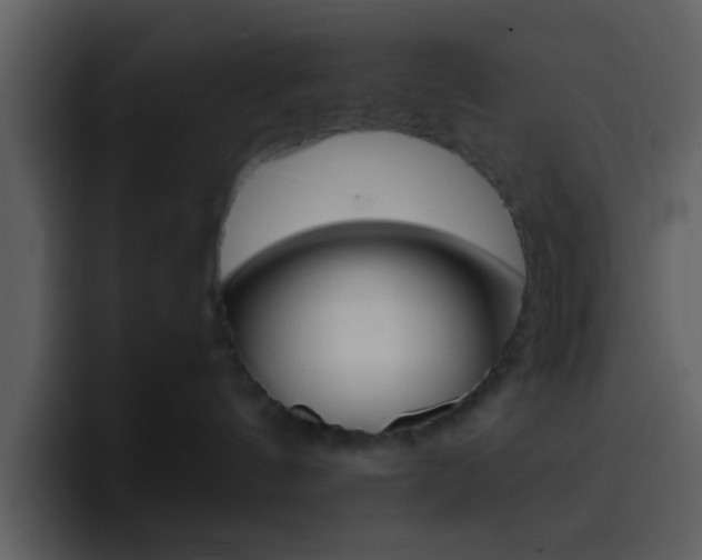 X0000096990144200802080927