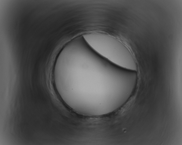 X0000096990145200802080926