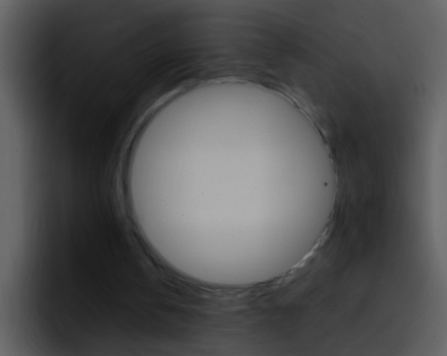 X0000096990146200802080926