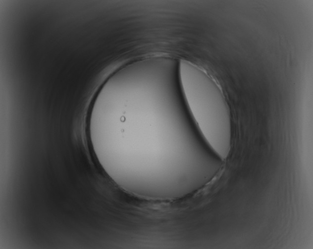 X0000096990147200802080926