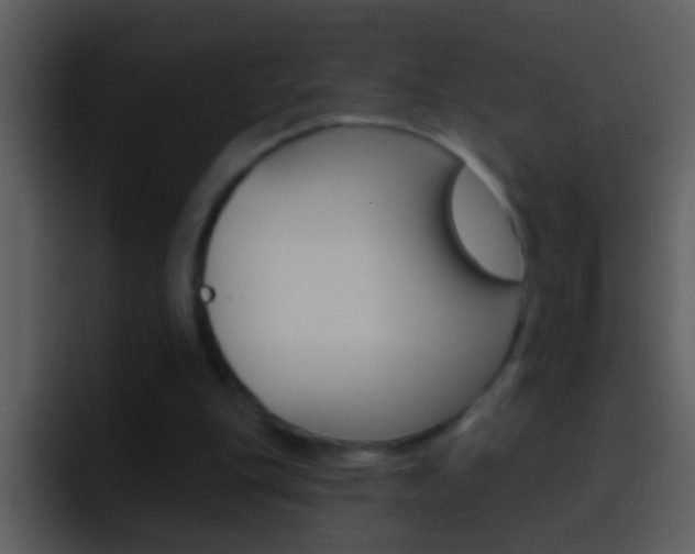 X0000096990151200802080926
