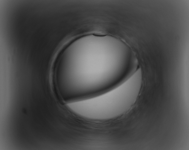 X0000096990152200802080926