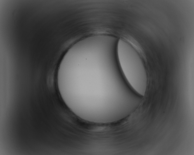 X0000096990155200802080926