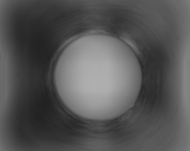 X0000096990156200802080926