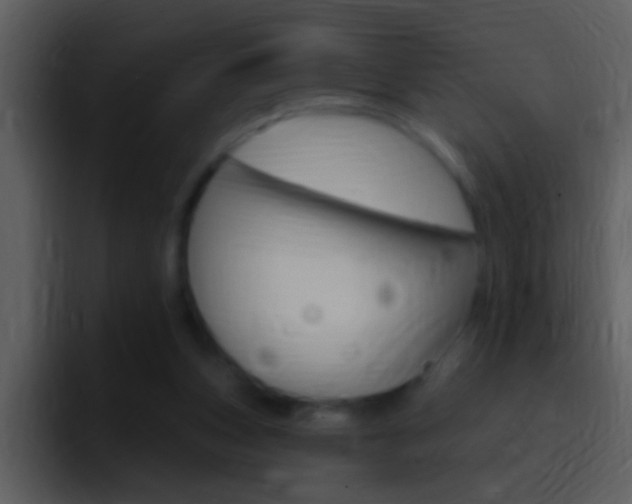 X0000096990159200802080926
