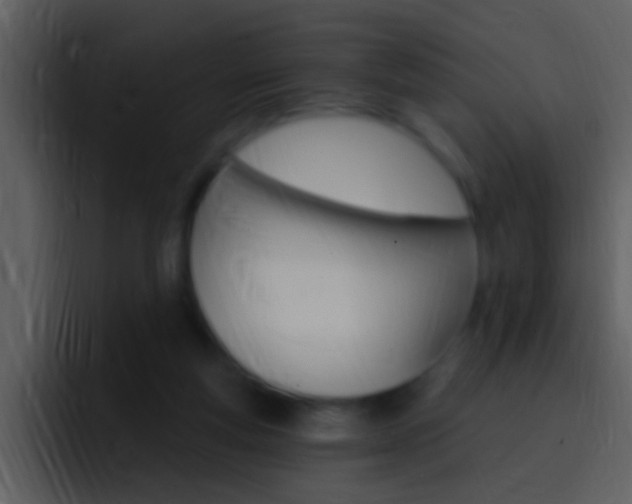 X0000096990163200802080926