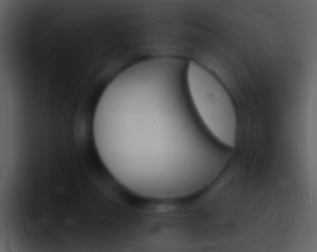 X0000096990165200802080926