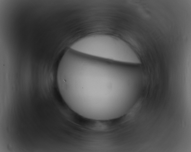 X0000096990166200802080926