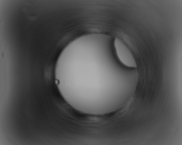 X0000096990167200802080926