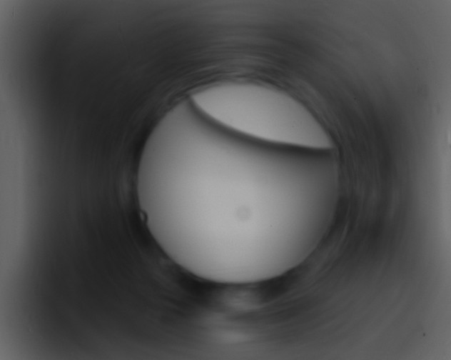 X0000096990169200802080926