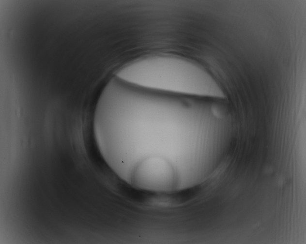 X0000096990171200802080926