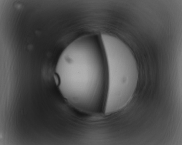 X0000096990172200802080926