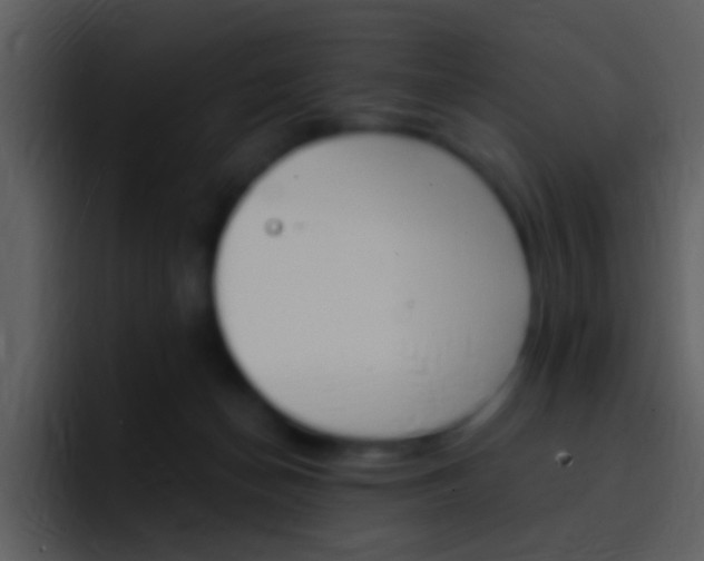 X0000096990174200802080926