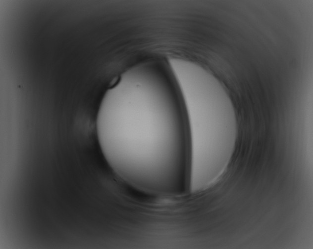 X0000096990176200802080926
