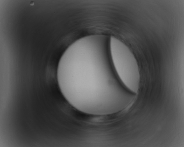 X0000096990178200802080926