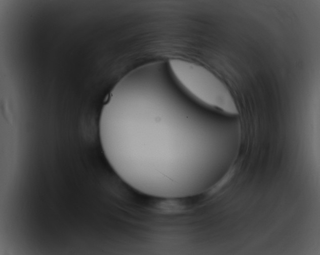 X0000096990183200802080927
