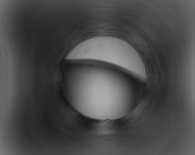 X0000096990184200802080927
