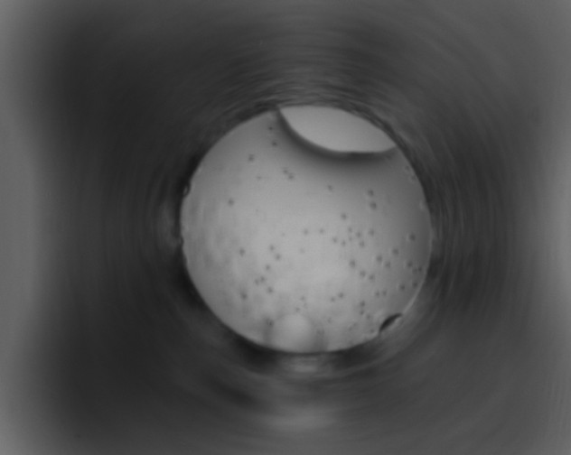 X0000096990187200802080927