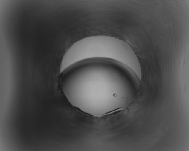 X0000096990192200802080927