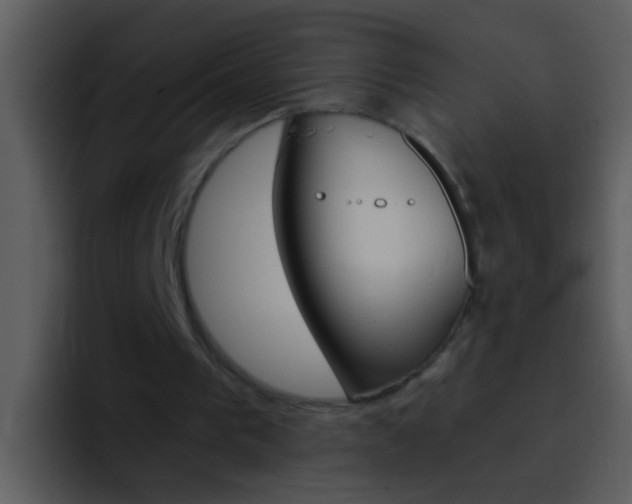 X0000096990193200802080926