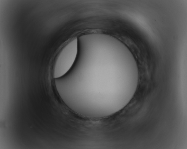 X0000096990194200802080926