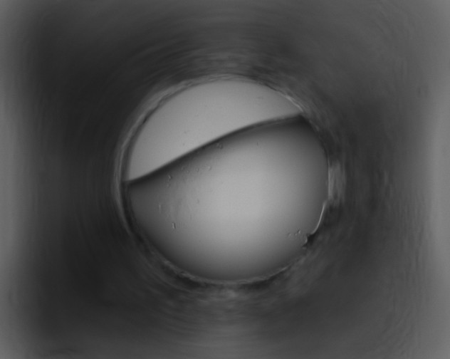 X0000096990195200802080926